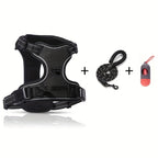 The Ultimate Comfort & Safety Set for Your Daily Walks.