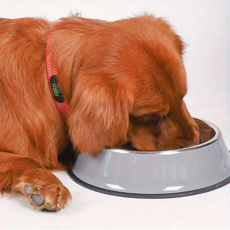SteelPaws™ – Premium Stainless Steel Pet Bowls with Non-Slip Rubber Base (Set of 2)