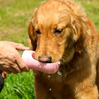 AquaPaws™ – Leak-Proof Portable Dog Water Bottle & Travel Dispenser