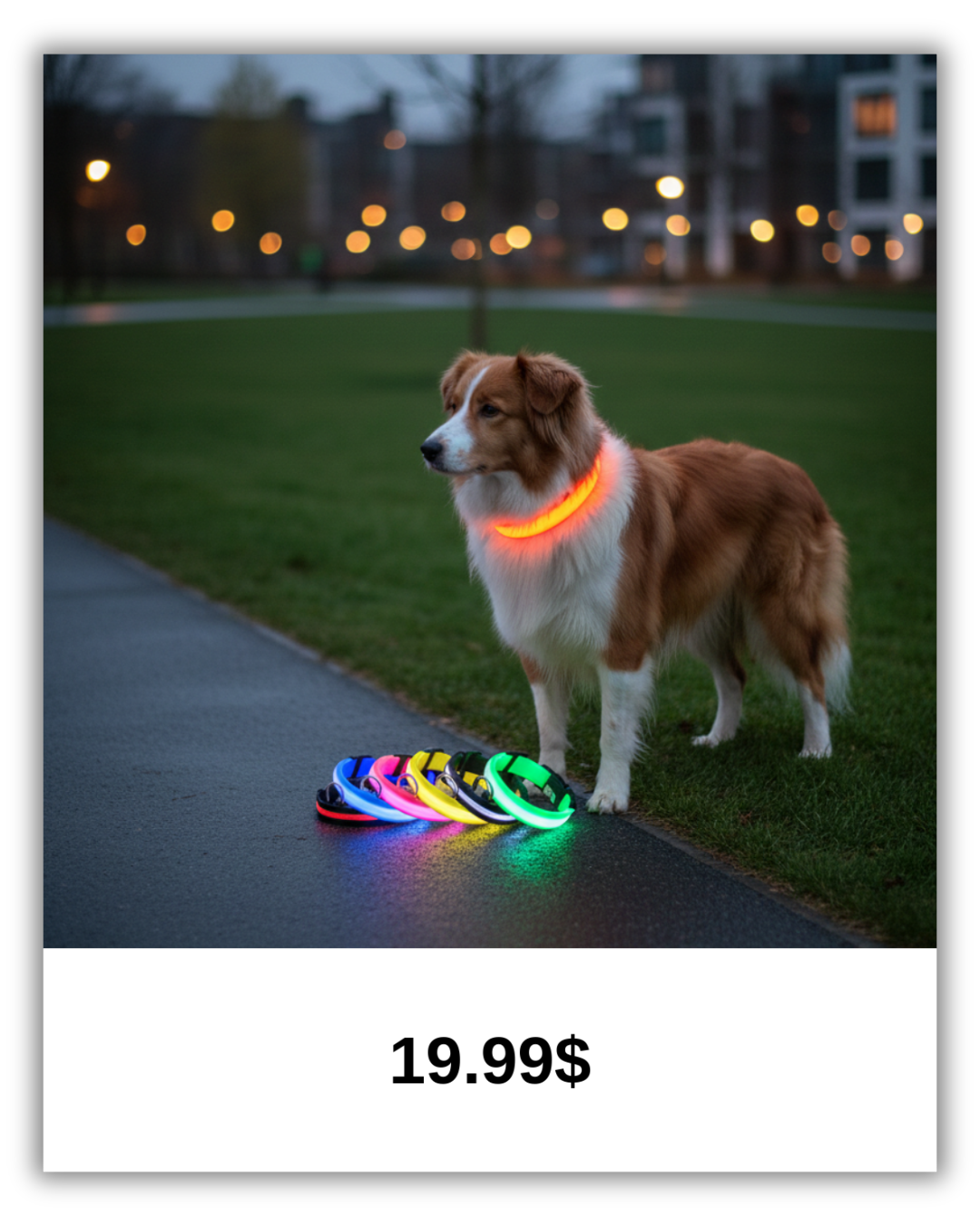 GlowGuard™ LED Safety Dog Collar – USB Rechargeable, Weatherproof & High-Visibility Night Light