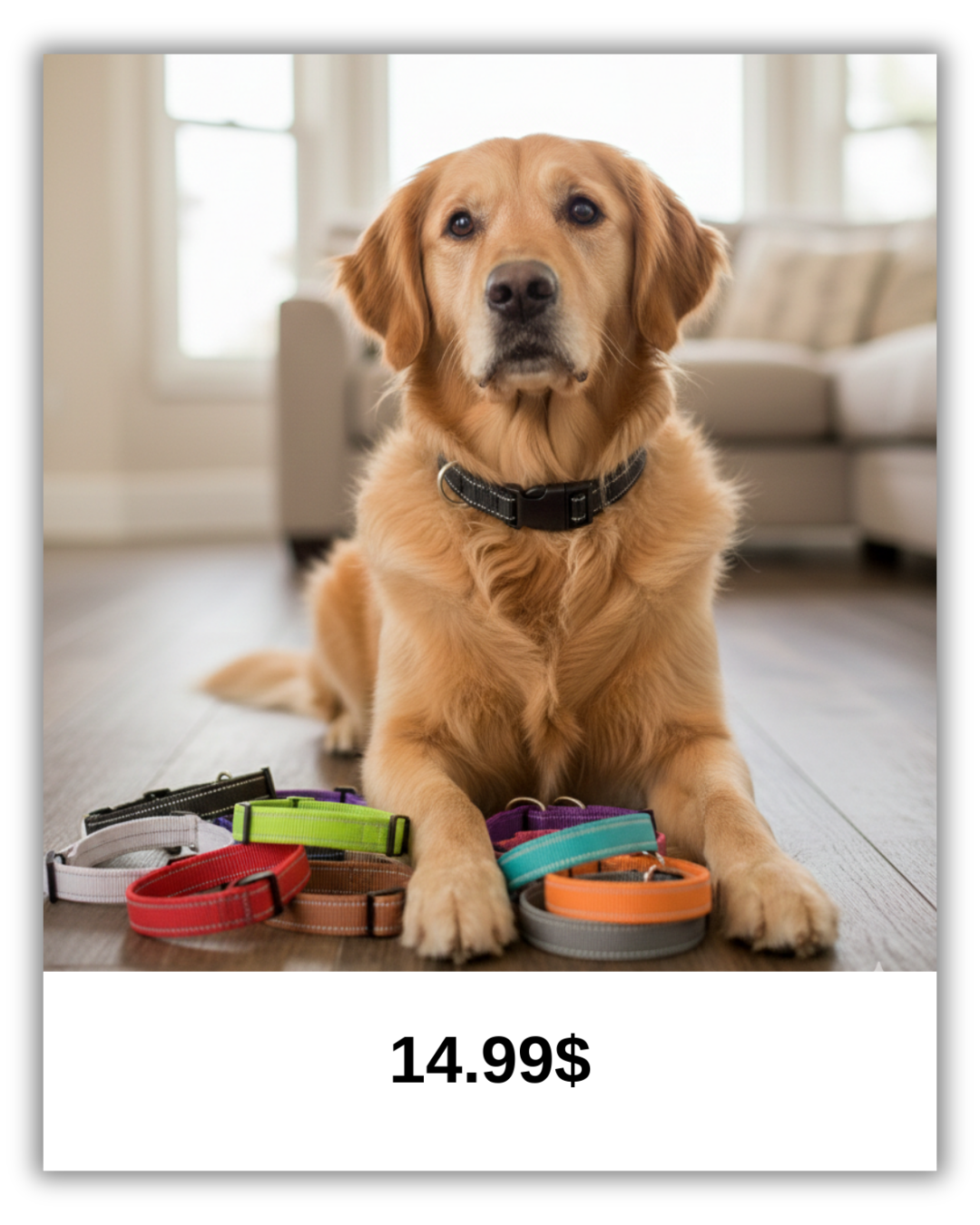 ClassicComfort™ – Durable Adjustable Everyday Dog Collar