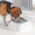AquaDry™ – Anti-Splash Floating Pet Water Bowl for Mess-Free Hydration