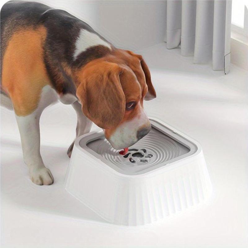 AquaDry™ – Anti-Splash Floating Pet Water Bowl for Mess-Free Hydration