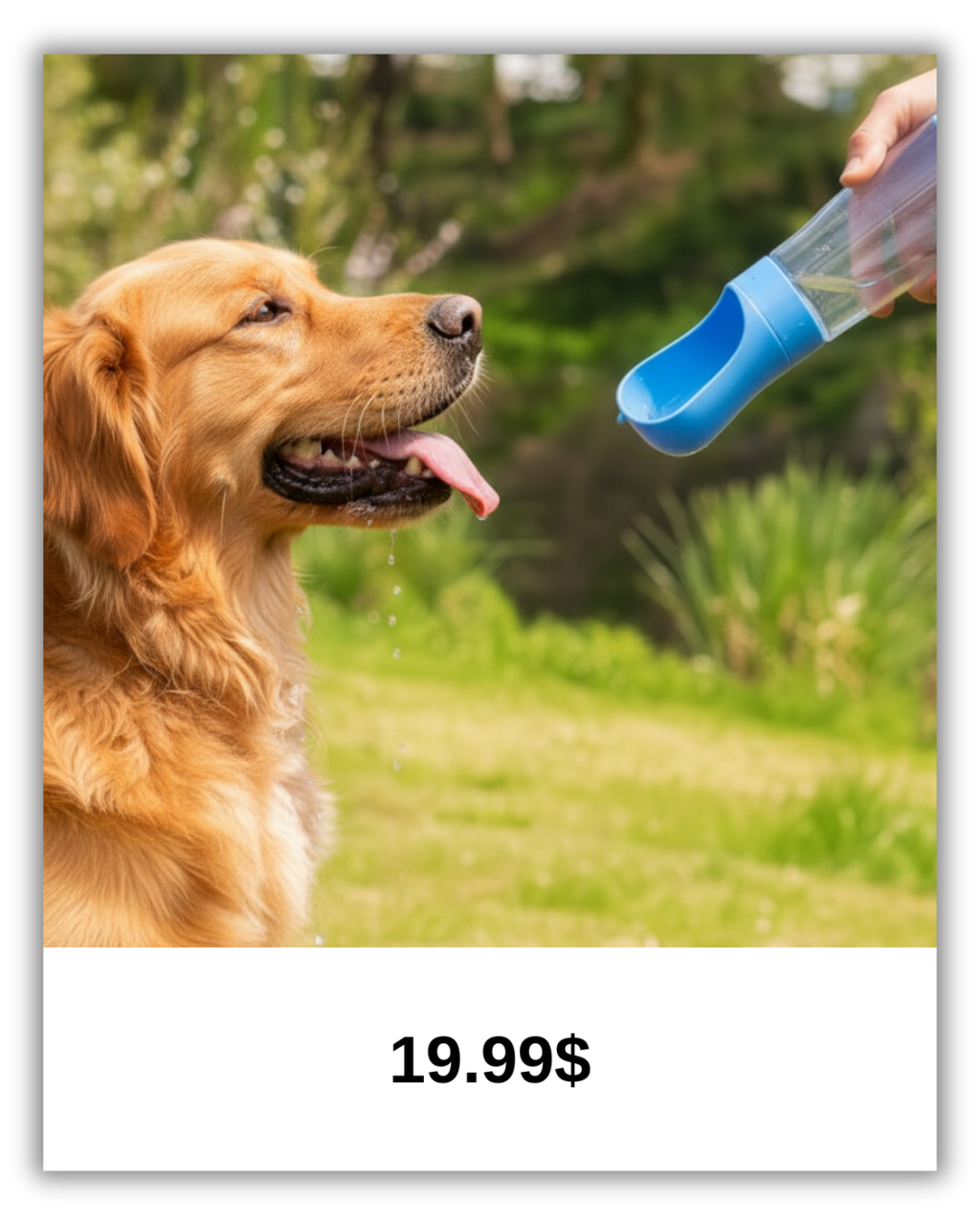 AquaPaws™ – Leak-Proof Portable Dog Water Bottle & Travel Dispenser