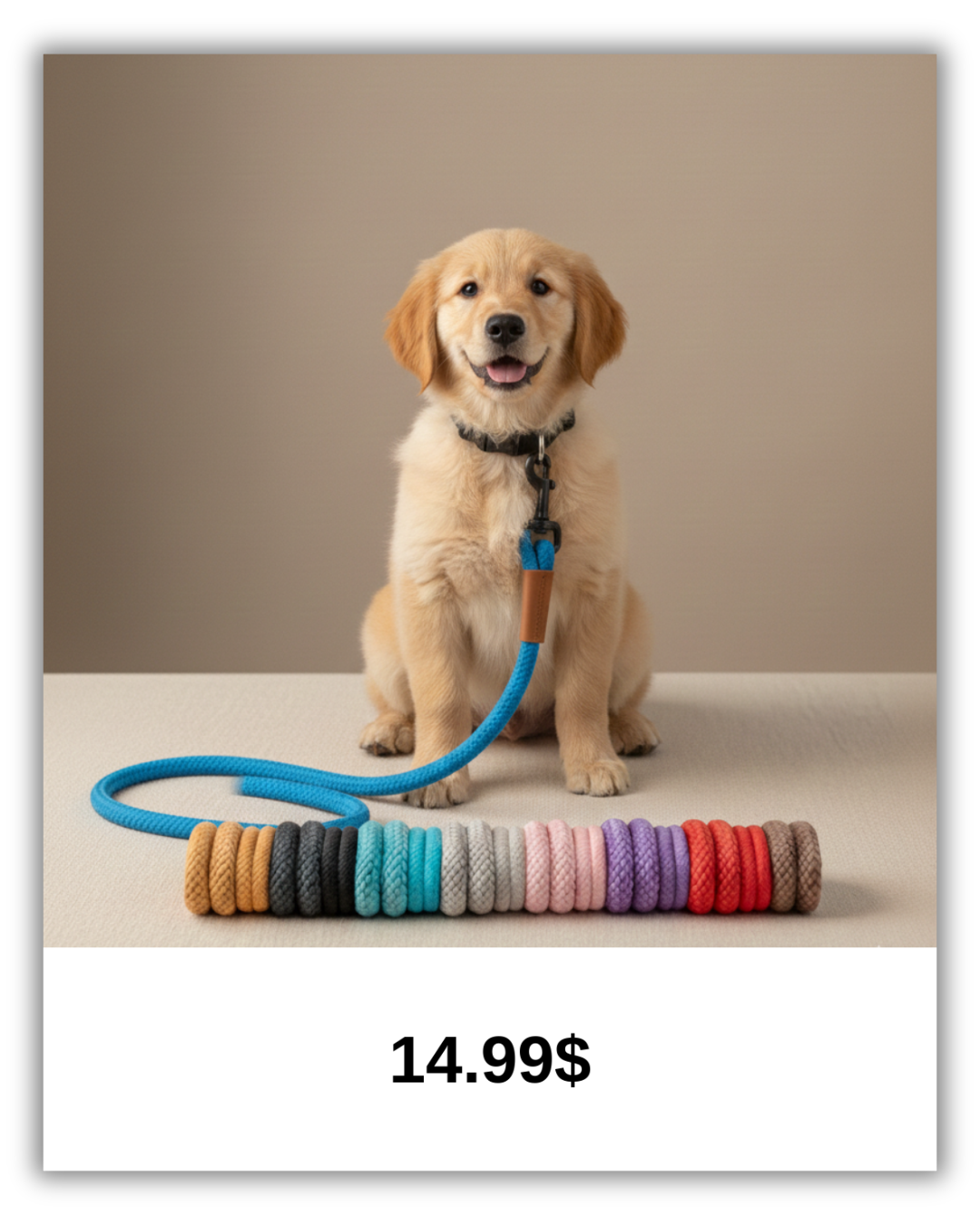 StrongHold™ – Heavy-Duty Nylon Dog Leash with Comfort Grip