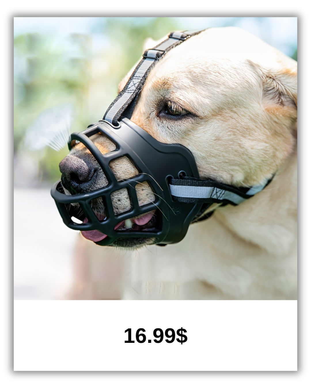 PetZen™ Ultra-Breathable Soft Mesh Muzzle – Comfortable & Secure Anti-Biting & Chewing Protection