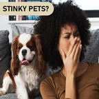 PureCoat™ – 5-in-1 Professional Pet Shampoo: Cleans, Conditions & Deodorizes