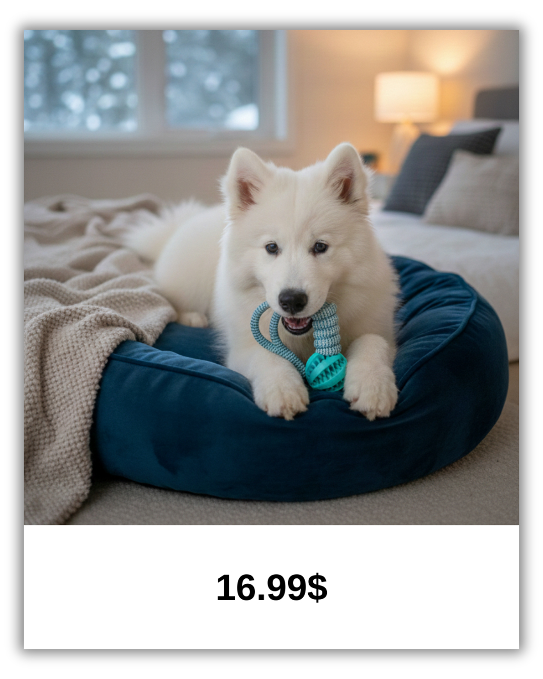 Tug-n-Treat™ Heavy-Duty Braided Rope Toy – Interactive Teeth Cleaning Chew & Treat Dispenser