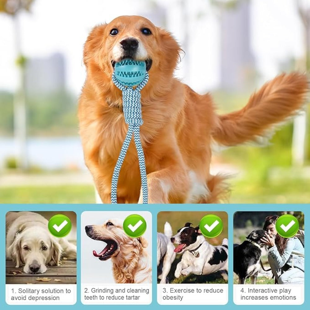 Tug-n-Treat™ Heavy-Duty Braided Rope Toy – Interactive Teeth Cleaning Chew & Treat Dispenser
