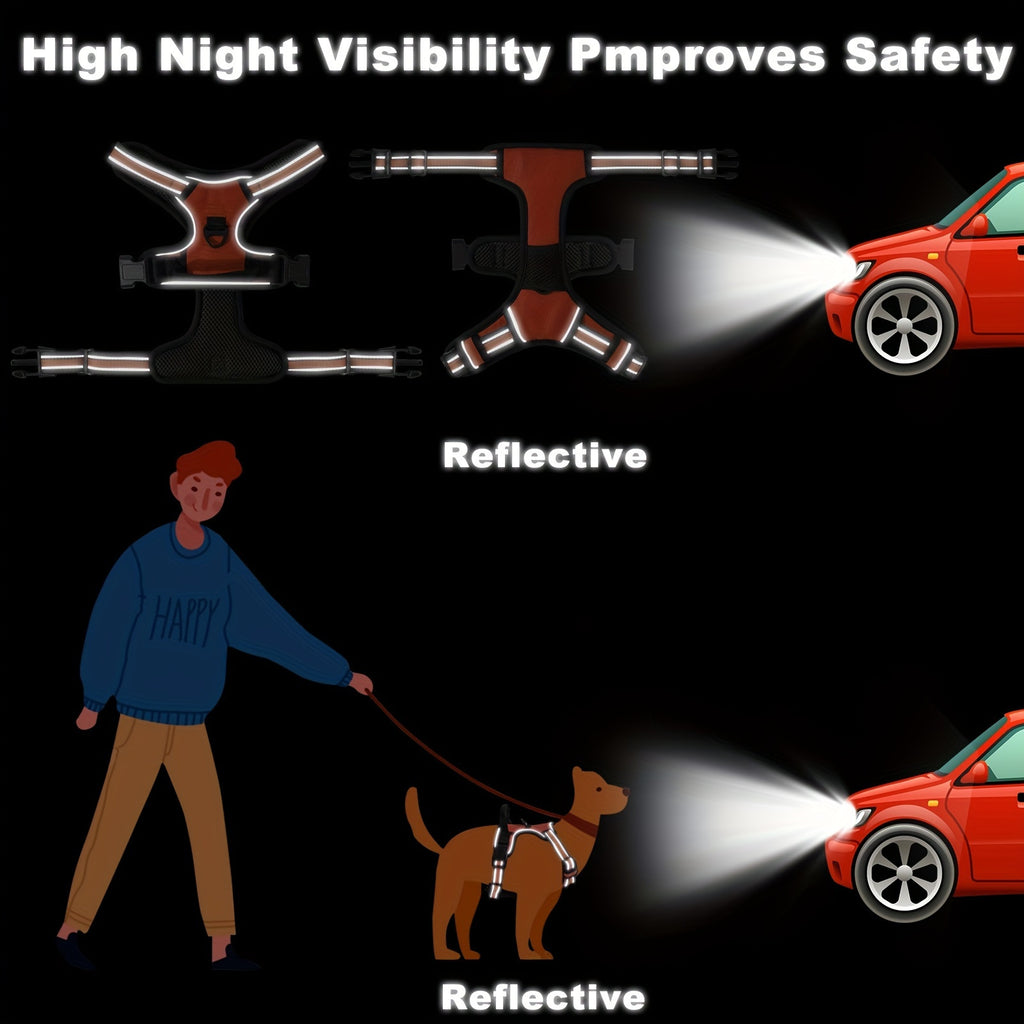 The Ultimate Comfort & Safety Set for Your Daily Walks.