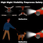 The Ultimate Comfort & Safety Set for Your Daily Walks.