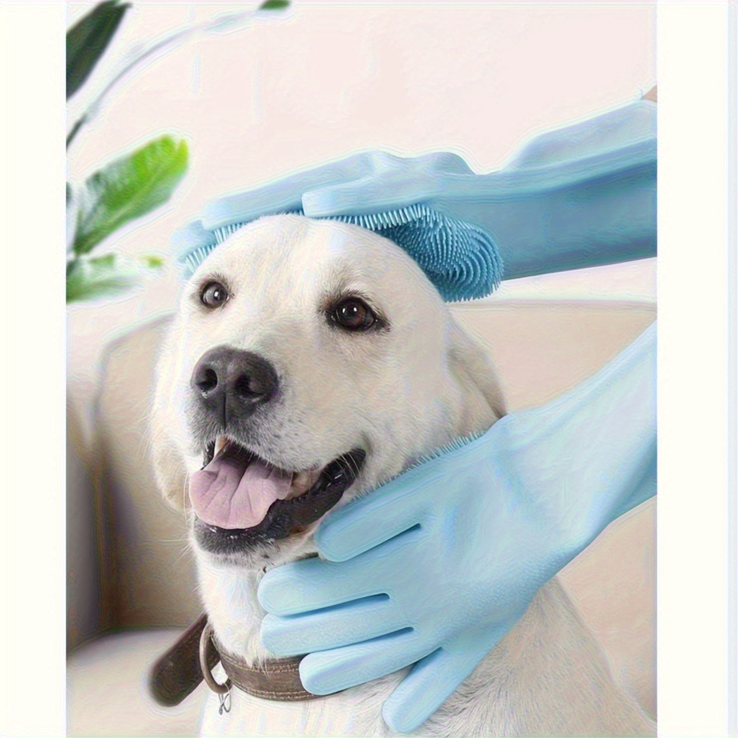 GentleTouch™ – 2-in-1 Grooming & Bathing Silicone Glove