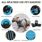 The Ultimate Comfort & Safety Set for Your Daily Walks.