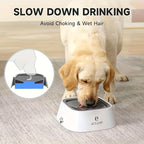 AquaDry™ – Anti-Splash Floating Pet Water Bowl for Mess-Free Hydration