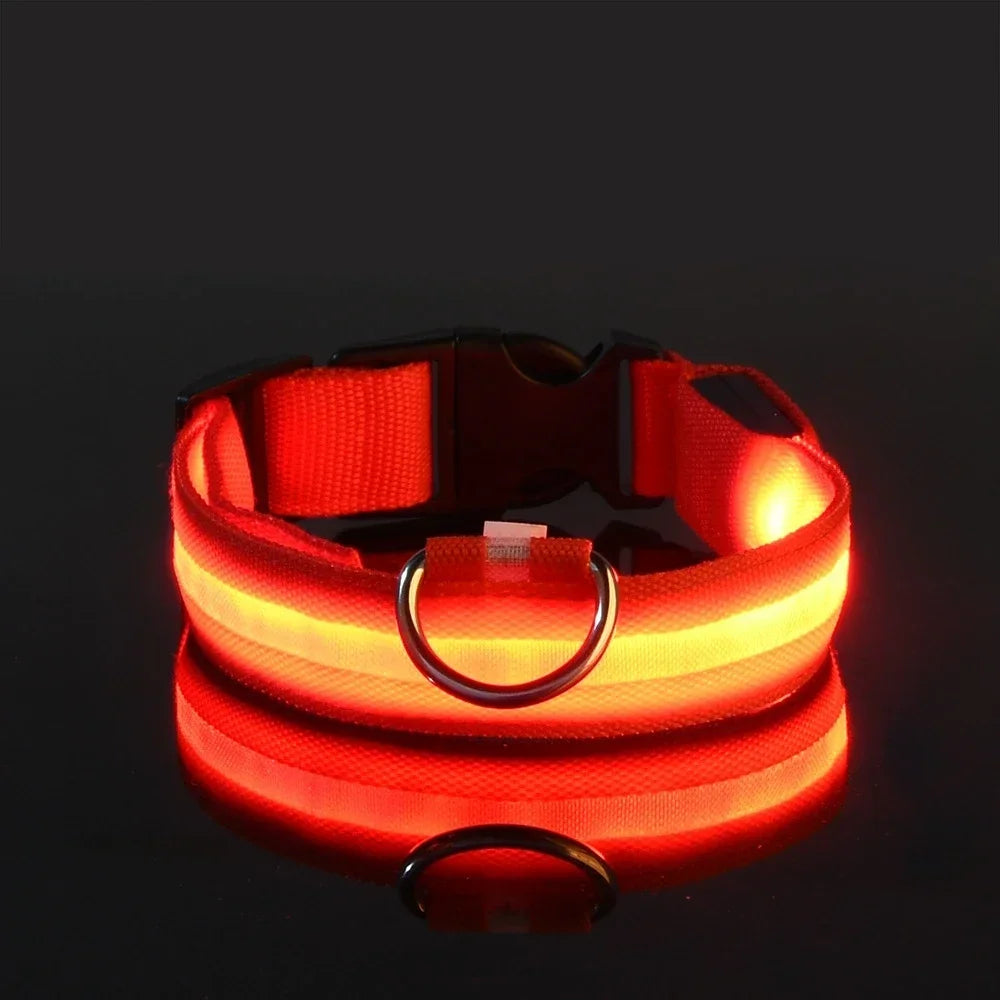 GlowGuard™ LED Safety Dog Collar – USB Rechargeable, Weatherproof & High-Visibility Night Light