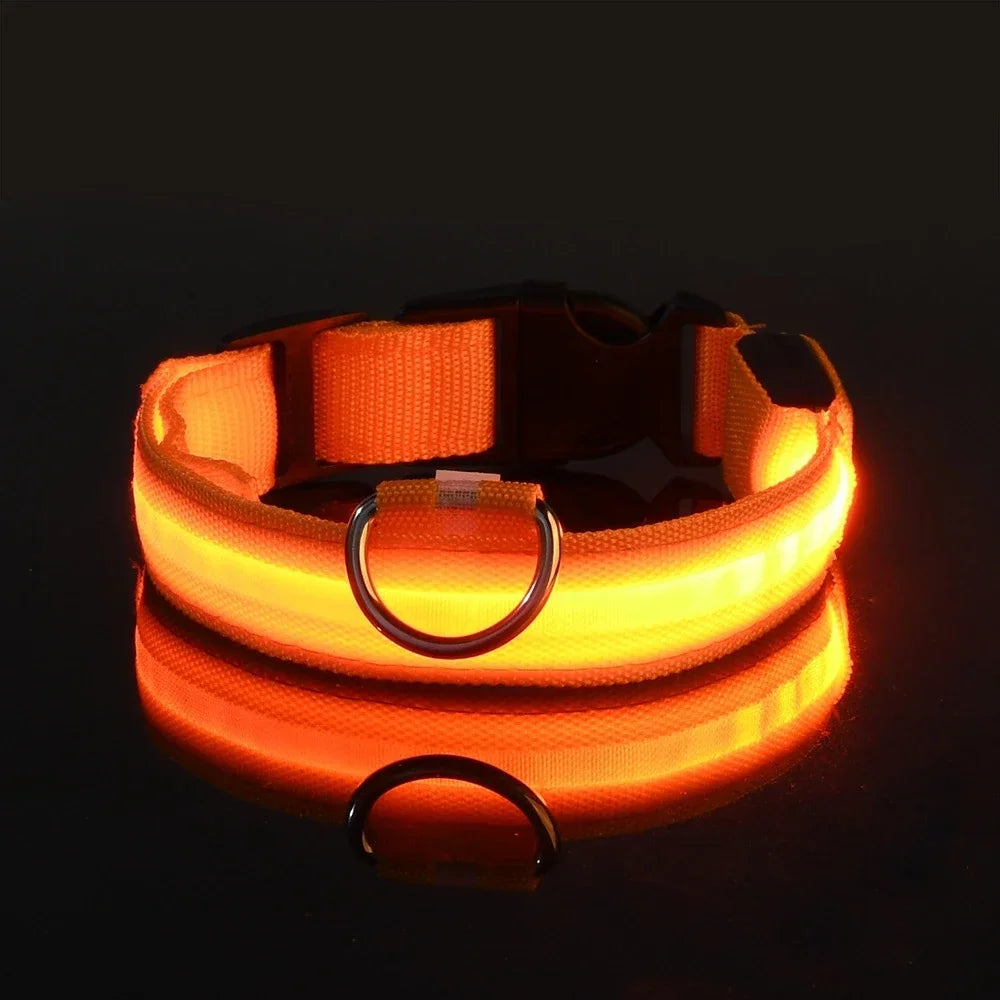 GlowGuard™ LED Safety Dog Collar – USB Rechargeable, Weatherproof & High-Visibility Night Light