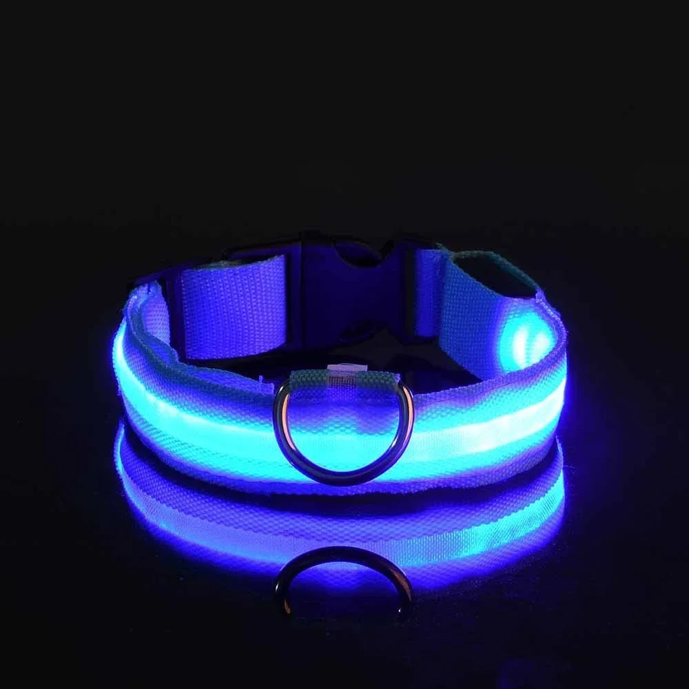GlowGuard™ LED Safety Dog Collar – USB Rechargeable, Weatherproof & High-Visibility Night Light