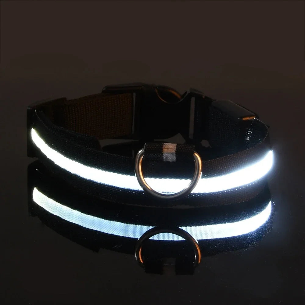 GlowGuard™ LED Safety Dog Collar – USB Rechargeable, Weatherproof & High-Visibility Night Light