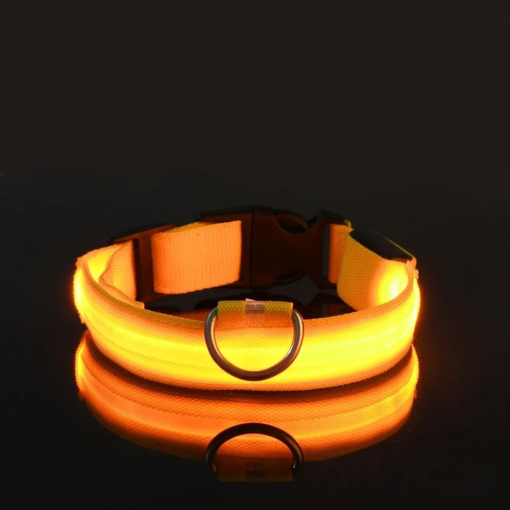 GlowGuard™ LED Safety Dog Collar – USB Rechargeable, Weatherproof & High-Visibility Night Light