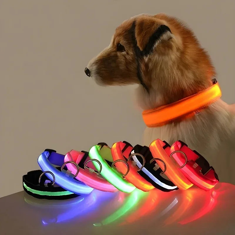 GlowGuard™ LED Safety Dog Collar – USB Rechargeable, Weatherproof & High-Visibility Night Light