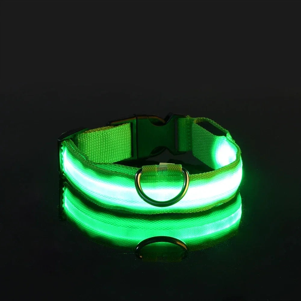 GlowGuard™ LED Safety Dog Collar – USB Rechargeable, Weatherproof & High-Visibility Night Light