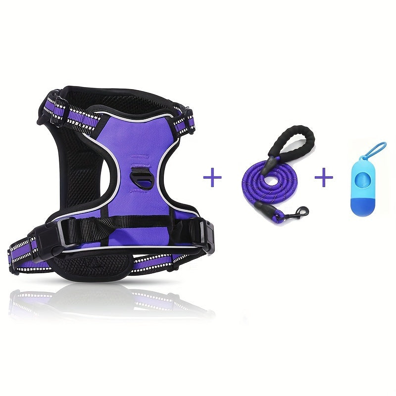 The Ultimate Comfort & Safety Set for Your Daily Walks.